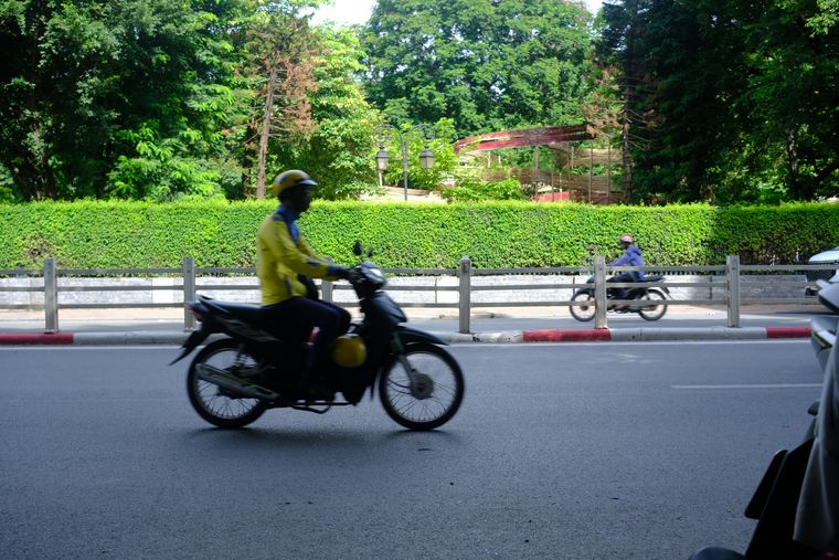 A motorcyclist riding past a hedge-lined road